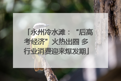 永州冷水滩：“后高考经济”火热出圈 多行业消费迎来爆发期